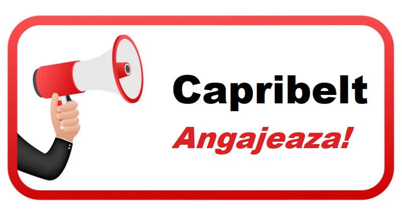 Anunt angajare Capribelt